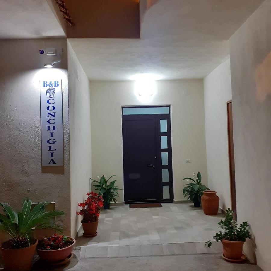 La Conchiglia Bed And Breakfast San Nicola Arcella Exterior photo